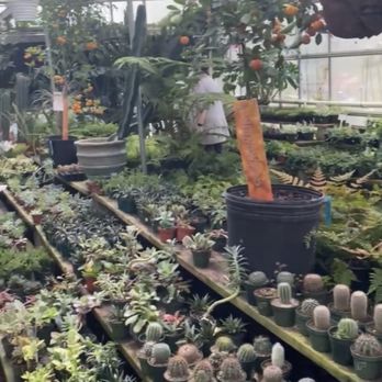 Big Greenhouse - Succulents - Nurseries & Gardening Near Me - Greensboro, North Carolina Big Greenhouse - Succulents - Nurseries & Gardening Near Me - Greensboro, North Carolina