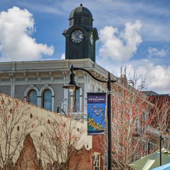 Paris Haghighi - Vanguard Properties - Real Estate Agents Near Me - Petaluma, California Paris Haghighi - Vanguard Properties - Real Estate Agents Near Me - Petaluma, California