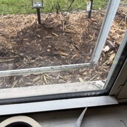 Window Gang
