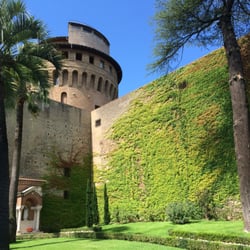 Giardini dei Vaticano