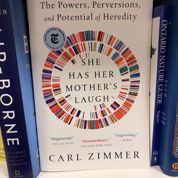 Indigo - Bookstores Near Me - Montreal, Quebec