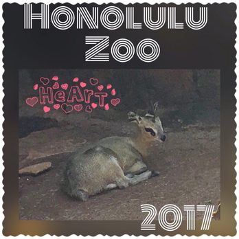 Honolulu Zoo - Zoos Near Me - Honolulu, Hawaii