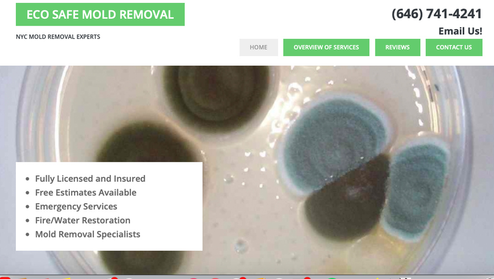 Eco Safe Mold Removal - mold inspector in New York, NY
