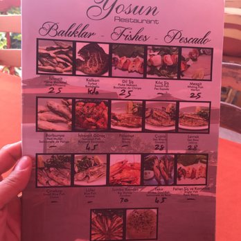 Yosun Restaurant - Stunning view of the cafe, Ok food and feel free to ask waiter what's fresh. - Seafood Near Me - Istanbul, 34 Yosun Restaurant - Stunning view of the cafe, Ok food and feel free to ask waiter what's fresh. - Seafood Near Me - Istanbul, 34