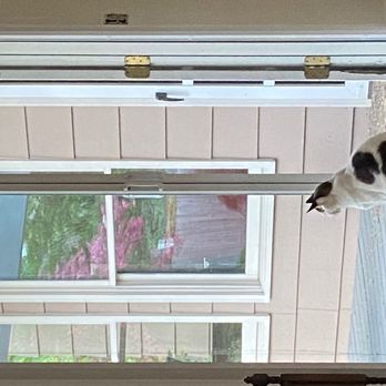 Phantom Screens Boise - No telling why Yelp rotated the photo to sideways. Sorry about that! But, clearly, our cat loves the screen doors, too. :-) - Door Sales/Installation Near Me - Boise, Idaho
