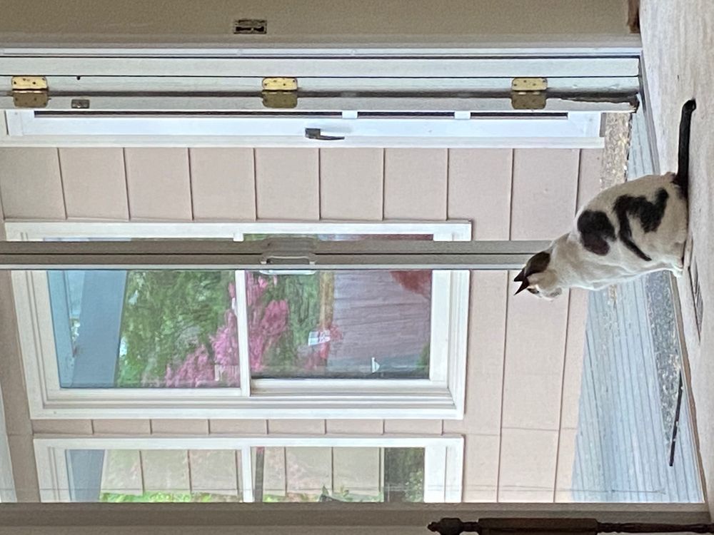 PHANTOM SCREENS BOISE Updated May 2024 86 Photos & 13 Reviews