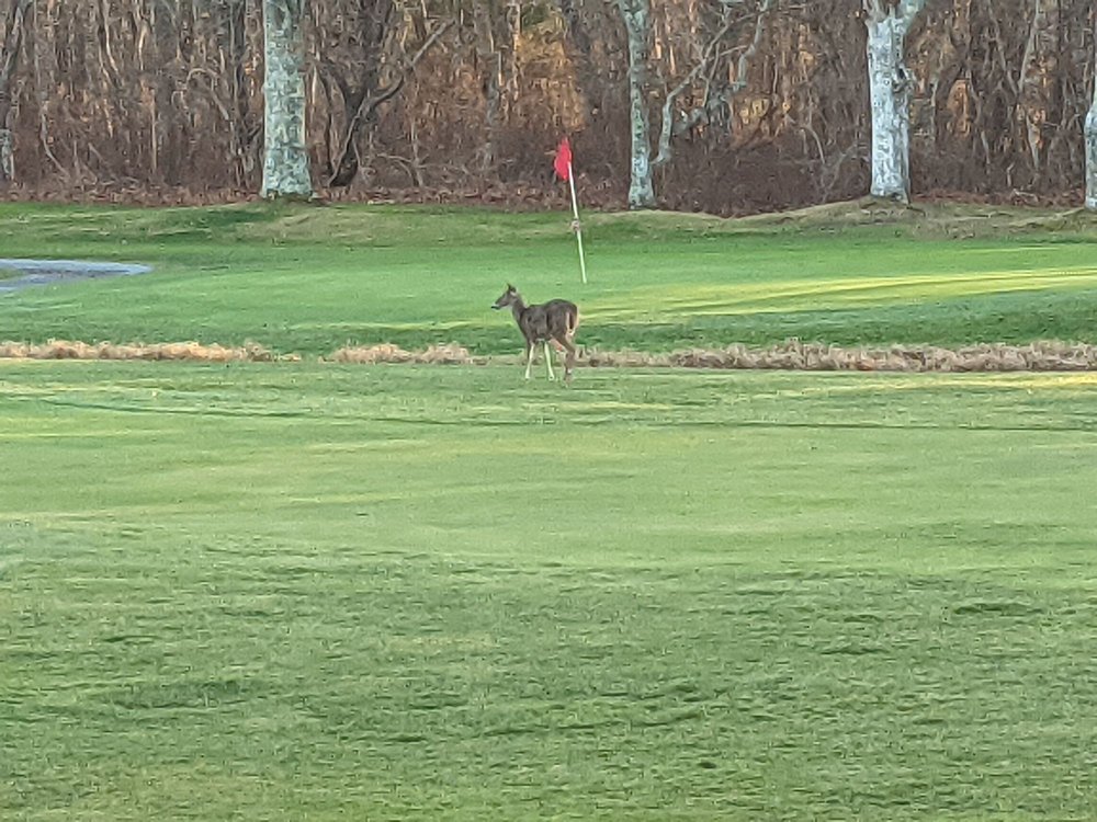 LITTLE HARBOR COUNTRY CLUB Updated June 2024 9 Little Harbor Rd