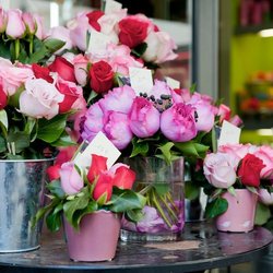 Blooms and Botanicals Florist