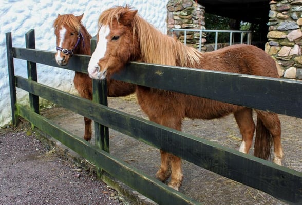 The Kerry Bog Village Museum by null