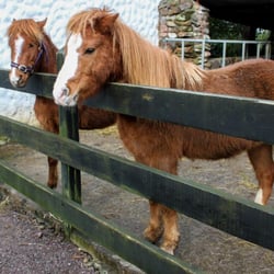 Kerry Bog Village Museum