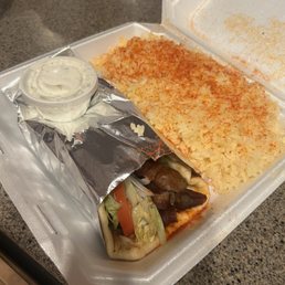 Gyro Plate