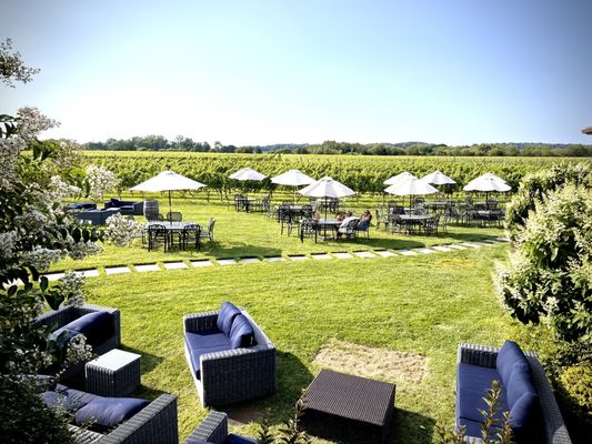 Macari Vineyards by null
