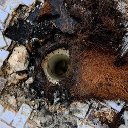 Palmetto Plumbing and Electrical