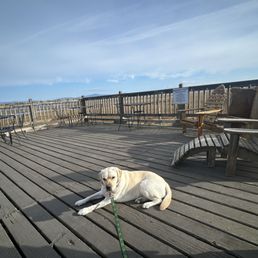 Deck at Oysterville on a beautiful March day! Deck at Oysterville on a beautiful March day!