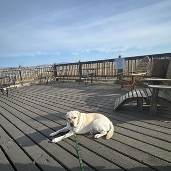 Oysterville Sea Farms - Deck at Oysterville on a beautiful March day! - Specialty Food Near Me - Oysterville, Washington Oysterville Sea Farms - Deck at Oysterville on a beautiful March day! - Specialty Food Near Me - Oysterville, Washington