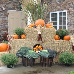 Dom's Landscaping - Commercial Seasonal Displays