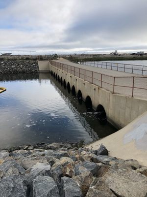 Wetlands & Wildlife Care Center by null