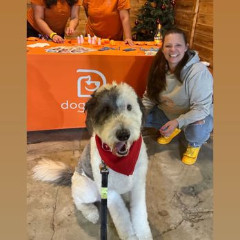 Dogtopia - Pet Boarding Near Me - Houston, Texas