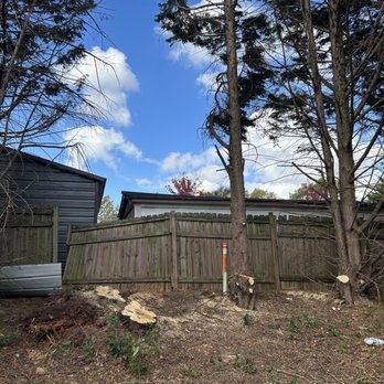 Diamond cut Tree Service - Tree Services Near Me - Easley, South Carolina Diamond cut Tree Service - Tree Services Near Me - Easley, South Carolina