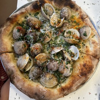 Pigzza - happy as a clam - Pizza Near Me - Orlando, Florida Pigzza - happy as a clam - Pizza Near Me - Orlando, Florida