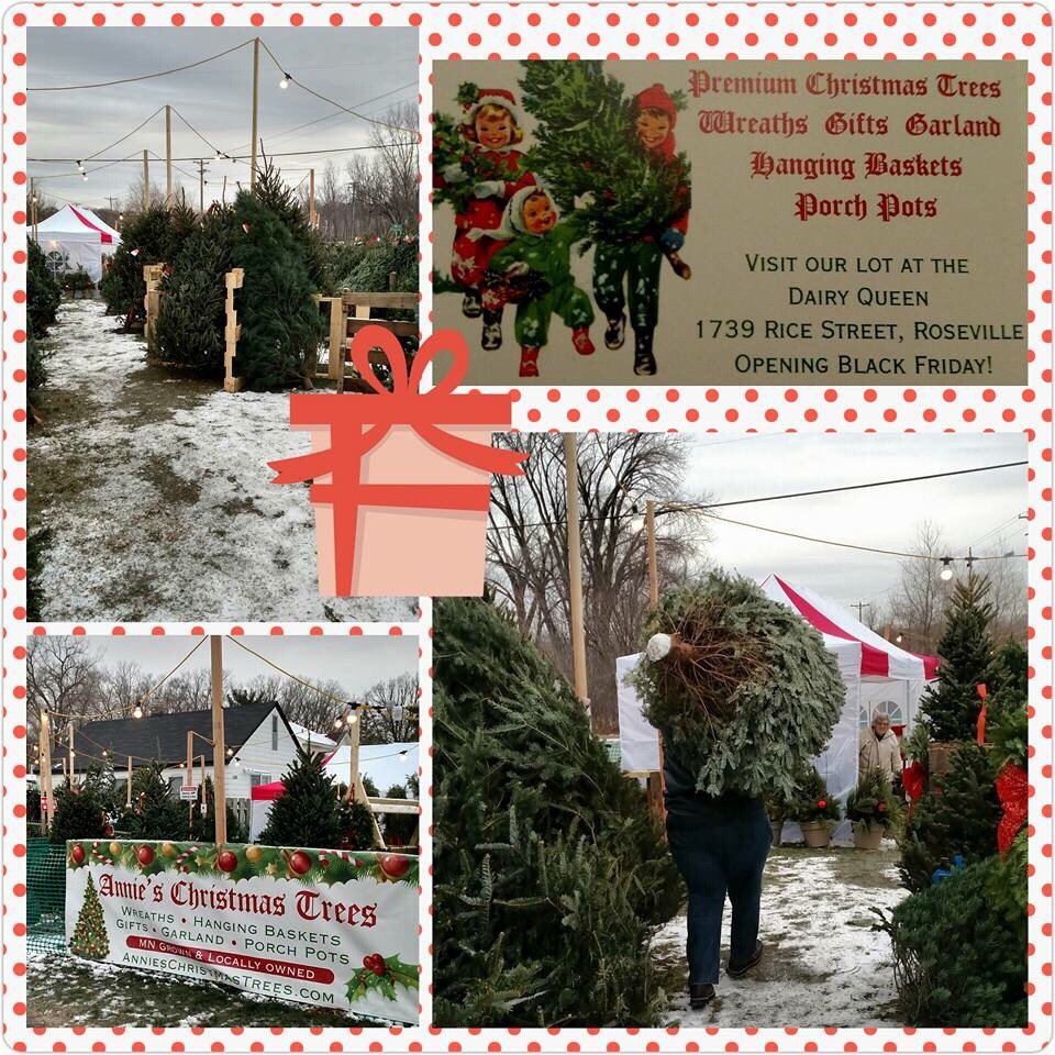 ANNIE’S CHRISTMAS TREES Updated September 2024 21 Photos 1739