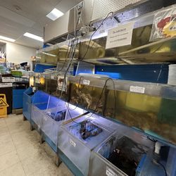 New Asian Supermarket