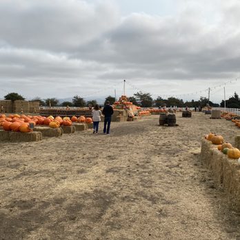 Borchard Farms - Pumpkin Patches Near Me - Salinas, California