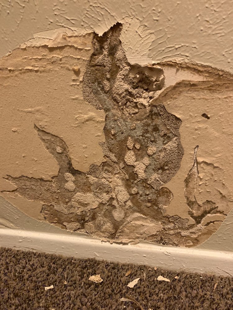 LA VITA APARTMENTS 30 Photos & 40 Reviews 6603 E Lovers Ln, Dallas, Texas Apartments