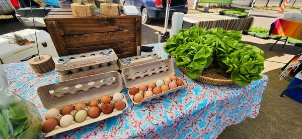 Corrales Growers Market by null