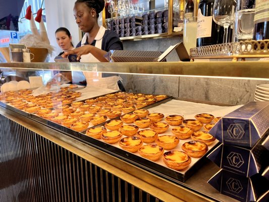 Castro - Atelier de Pastéis de Nata by null