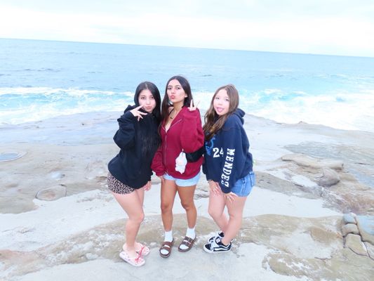 Windansea Beach by null