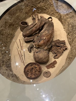 Museo Egizio by null