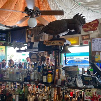 Green Parrot - Dive Bars Near Me - Key West, Florida Green Parrot - Dive Bars Near Me - Key West, Florida