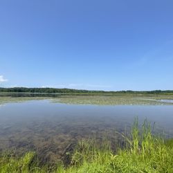 Mendon Ponds Park - The pond.