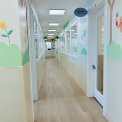 The Brunswick School
