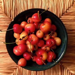 Mountain Rooster Produce