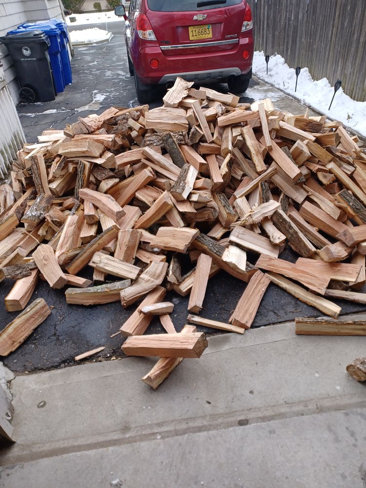 TJ Tree - tree service in Lincoln, RI