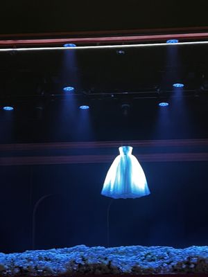 Shakespeare Theatre Company: Harman Hall by null