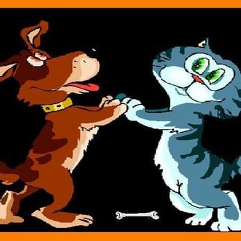 Beg n Bark Petsitting - Pet Sitting Near Me - Princeton, New Jersey
