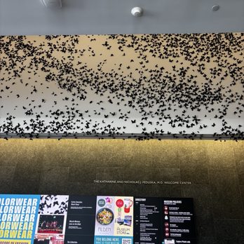 Phoenix Art Museum - Art Museums Near Me - Phoenix, Arizona