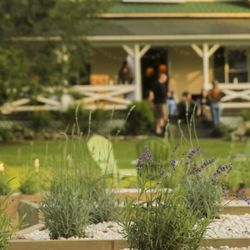 Valle Crucis Lavender House