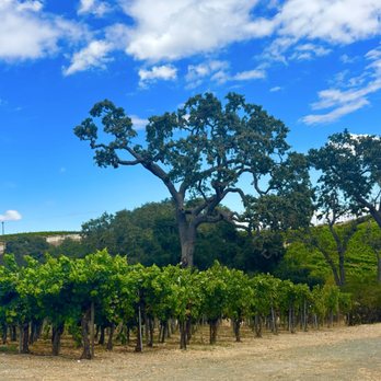 Austin Hope & Treana Tasting Cellar - Wine Tasting Room Near Me - Paso Robles, California Austin Hope & Treana Tasting Cellar - Wine Tasting Room Near Me - Paso Robles, California