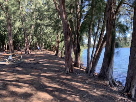 WOLF LAKE PARK - Updated December 2024 - 295 Photos & 63 Reviews - 5400