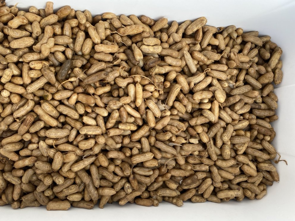 SOUTHERN ANCHOR FRESH MARKET Updated August 2024 105 S Cherokee