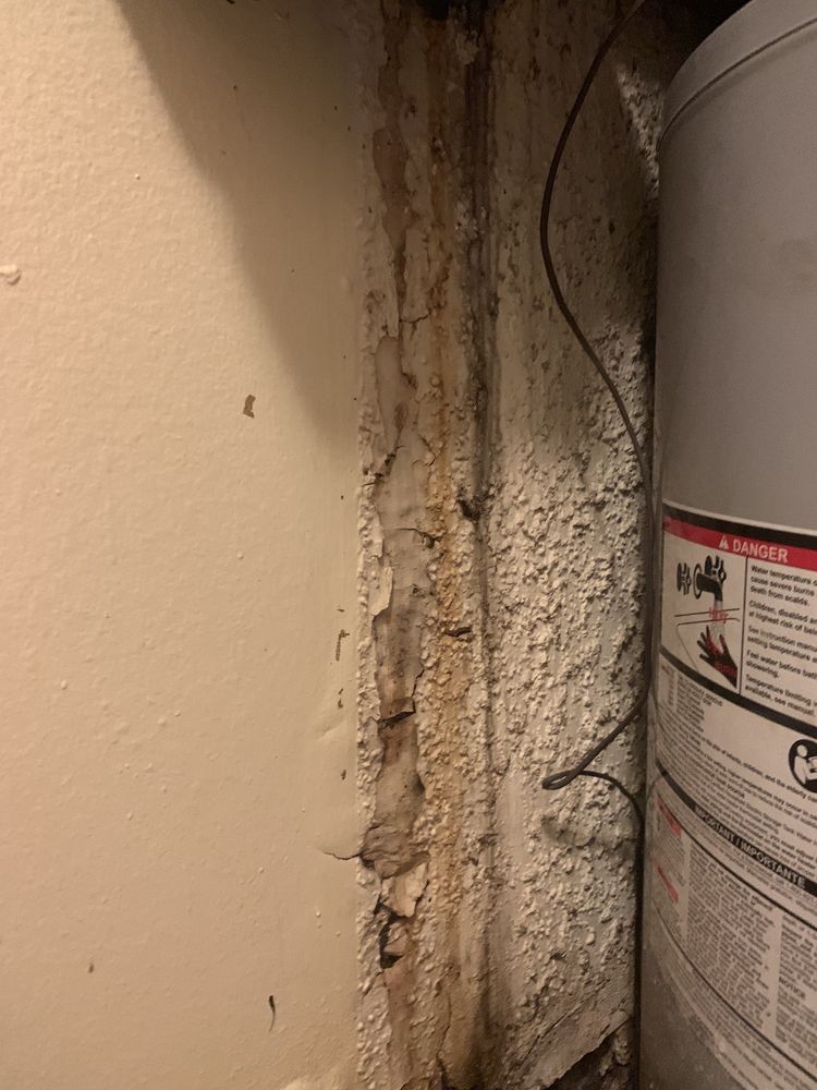 ARIANA AT EL PASEO BOUTIQUE APARTMENT HOMES Updated July 2024 38