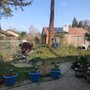Lopez Tree Service