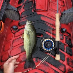 Chicago Fly Fishing Outfitters