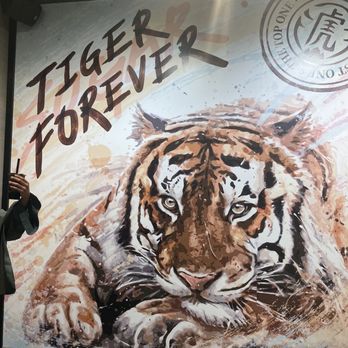 Tiger Sugar - Bubble Tea Near Me - Chicago, Illinois