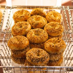 Konditorei - Fresh Baked Everything Bagels
