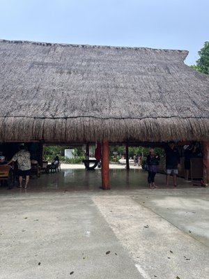 Cenote Tortuga by null
